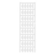 SFC 1/21 MC NE WS 1779080001