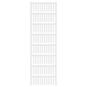 SF 2/21 MC NE WS V2 1918690000